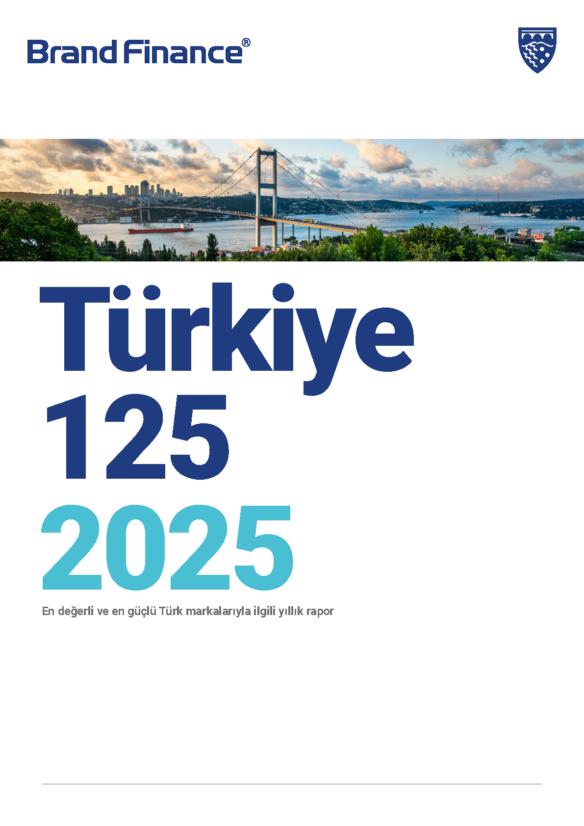 Brand Finance Turkey 125 2025