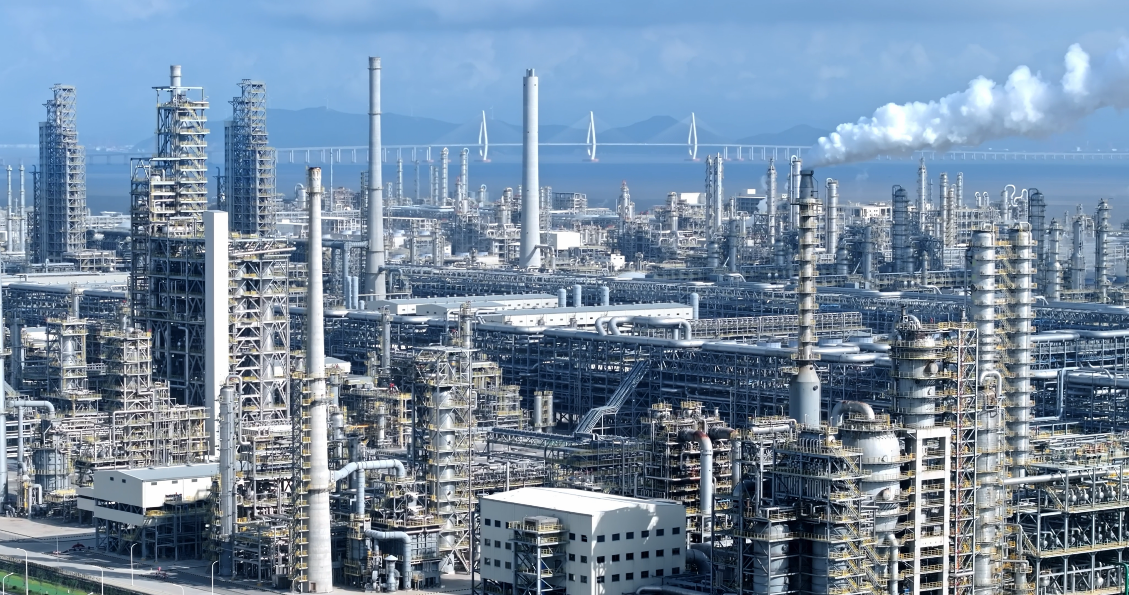 Rongsheng Petrochemical: Brand resilience and global innovation leadership